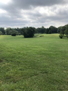 Druid Hill Park - Field below mansion