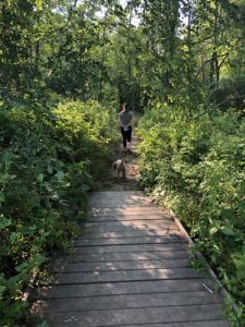 Cylburn - Hiking Trail