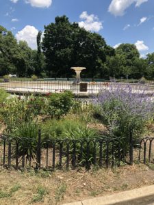 Patterson Park - Fountain