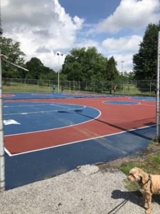 Druid Hill Park - basketball