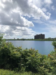 Druid Hill Park - Lake