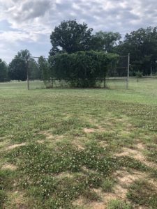 Clifton Park - baseball field near school campus