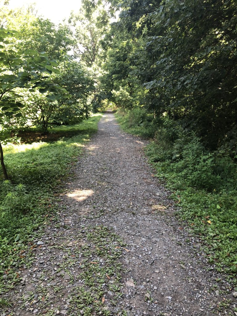 Upper north section of Stony Run Trail