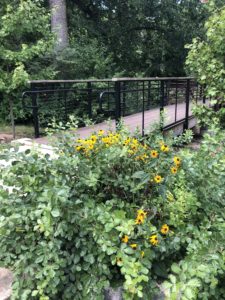 Stony Run - pedestrian bridge