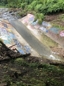 Stony Run - south end of trail