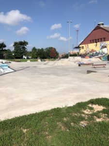 Roosevelt Park - Skate Park