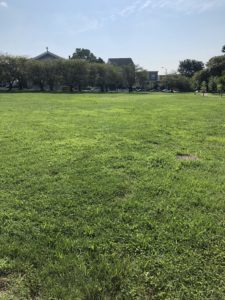 Roosevelt park - field