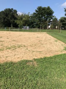 Roosevelt Park - Baseball field