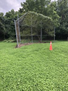 Mount Pleasant Park - Field No. 3