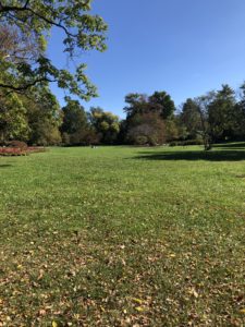 Sherwood Gardens