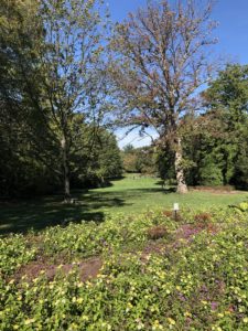 Sherwood Gardens