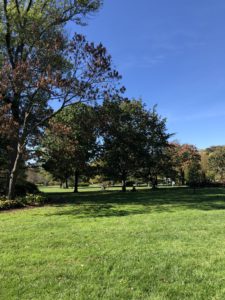 Sherwood Gardens